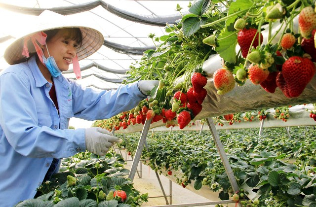 Th&uacute;c đẩy chuyển đổi hệ thống lương thực, thực phẩm theo hướng xanh, &iacute;t ph&aacute;t thải v&agrave; bền vững