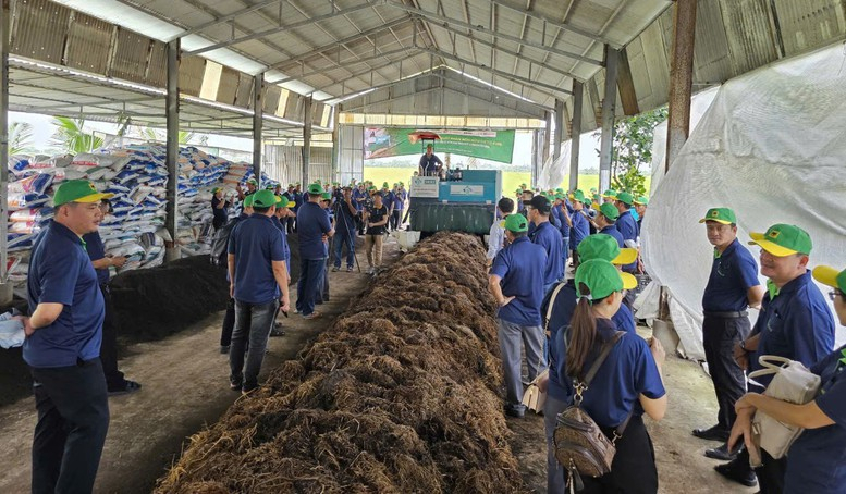 Th&uacute;c đẩy kinh tế tuần ho&agrave;n từ rơm rạ qua 'Ng&agrave;y hội n&ocirc;ng d&acirc;n trồng nấm'