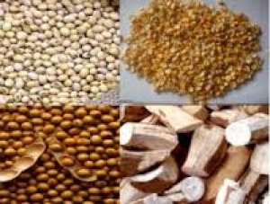 Thị trường NL TĂCN thế giới ng&agrave;y 25/10: Gi&aacute; đậu tương tăng cao 