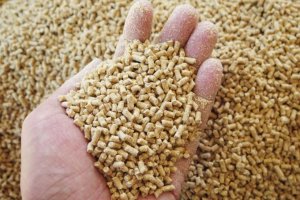 Gi&aacute; thức ăn chăn nu&ocirc;i lại tăng từ h&ocirc;m nay