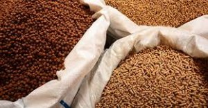 Nhập khẩu thức ăn chăn nu&ocirc;i v&agrave; nguy&ecirc;n liệu qu&yacute; 1 tăng mạnh