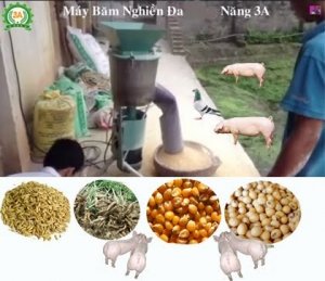 Xuất khẩu thức ăn chăn nu&ocirc;i th&aacute;ng 1/2020 sụt giảm mạnh