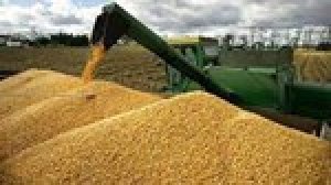 Thị trường chủ yếu cung cấp thức ăn gia s&uacute;c cho Việt Nam 7 th&aacute;ng năm 2021 