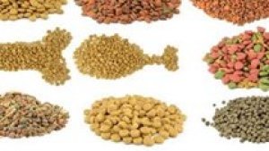 Nhập khẩu thức ăn gia s&uacute;c 6 th&aacute;ng đầu năm 2021 tăng 32,5% 