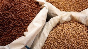 Kim ngạch xuất khẩu thức ăn chăn nu&ocirc;i của Việt Nam năm 2020 tăng kh&aacute;