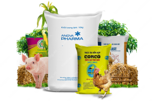 Nhập khẩu thức ăn gia s&uacute;c 5 th&aacute;ng năm 2024 tăng 10%