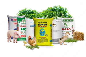 Xuất khẩu thức ăn chăn nu&ocirc;i sang c&aacute;c thị trường th&aacute;ng 1/2021