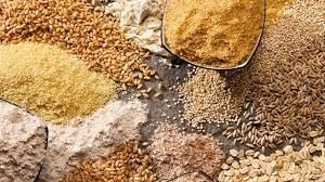 Xuất khẩu thức ăn gia s&uacute;c 5 th&aacute;ng đầu năm 2021 tăng trưởng tốt