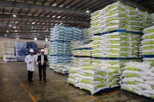Xuất khẩu thức ăn gia s&uacute;c 2 th&aacute;ng đầu năm 2021 tăng trưởng tốt