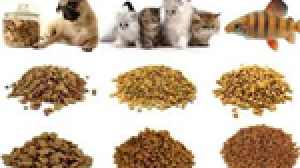 Xuất khẩu thức ăn chăn nu&ocirc;i 6 th&aacute;ng đầu năm sang Trung Quốc tăng 124%