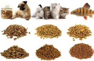 Xuất khẩu thức ăn gia s&uacute;c th&aacute;ng 1/2025 sụt giảm