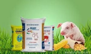 Kim ngạch xuất khẩu thức ăn gia s&uacute;c năm 2021 đạt 1,13 tỷ USD
