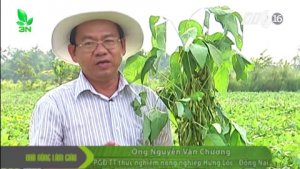 Nghi&ecirc;n cứu ảnh hưởng của ph&acirc;n NANO vi lượng b&oacute;n l&aacute; đến năng suất đậu tương tại Đ&ocirc;ng Nam bộ v&agrave; đồng bằng s&ocirc;ng Cửu Long