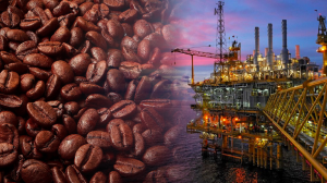 Gi&aacute; c&agrave; ph&ecirc; Robusta l&ecirc;n cao nhất 16 năm 