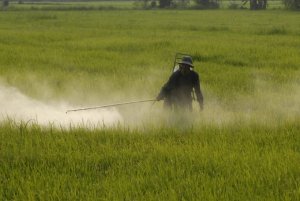 Bảo vệ thực vật giai đoạn mới 