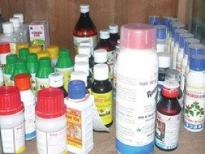 Trung Quốc &ndash; thị trường chủ yếu cung cấp thuốc trừ s&acirc;u cho Việt Nam