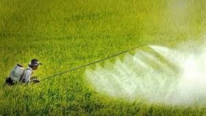 Nhập khẩu thuốc trừ s&acirc;u 6 th&aacute;ng đầu năm 2021 tăng từ hầu hết c&aacute;c thị trường