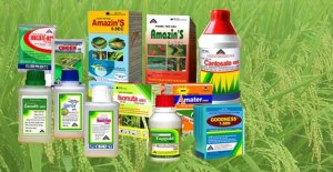 Nhập khẩu thuốc trừ sâu và nguyên liệu tháng 1/2024 tăng 49,8%