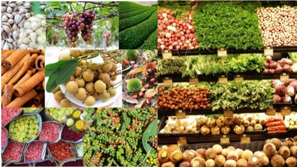 Thương hiệu quốc gia Việt Nam cần th&ecirc;m nội lực để vươn tầm 