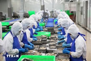 Xuất khẩu n&ocirc;ng l&acirc;m thủy sản qu&yacute; 1/2025 tăng hơn 13%, đem lại thặng dư 4,4 tỷ USD