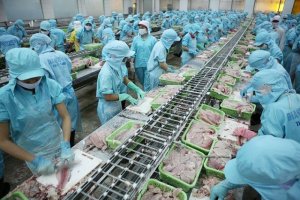 Xuất khẩu n&ocirc;ng, l&acirc;m, thủy sản đạt gần 45 tỷ USD