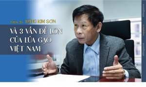 Tiến sỹ Đặng Kim Sơn v&agrave; 3 vấn đề lớn về l&uacute;a gạo Việt Nam