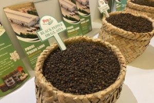 Giá tiêu vẫn sẽ tăng cao thời gian tới?