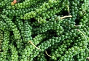 Dự b&aacute;o gi&aacute; ti&ecirc;u ng&agrave;y 9/8/2024: Thiếu hụt nguồn cung, gi&aacute; hồ ti&ecirc;u sẽ tăng trở lại?