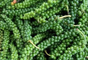 Gi&aacute; ti&ecirc;u h&ocirc;m nay 1/6: Gi&aacute; nh&iacute;ch tăng th&ecirc;m 500 đồng/kg tại Đ&ocirc;ng Nam bộ v&agrave; T&acirc;y Nguy&ecirc;n