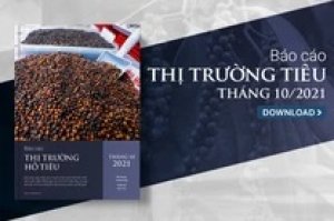 Thị trường hồ ti&ecirc;u th&aacute;ng 11/2021: Gi&aacute; hồ ti&ecirc;u dự kiến vẫn ở mức cao trong năm 2022 