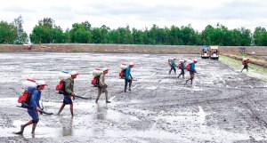 Chuyển đổi c&acirc;y trồng do thiếu nước: Phụ thuộc v&agrave;o nguồn vốn của n&ocirc;ng hộ