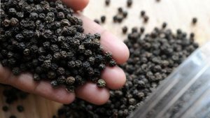 Gi&aacute; giảm v&agrave; sức &eacute;p nguồn cung: B&agrave;i to&aacute;n kh&oacute; của hồ ti&ecirc;u xuất khẩu