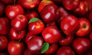 Nghi&ecirc;n cứu mới ph&aacute;t hiện mầm bệnh truyền qua thực phẩm được che chở bởi vi khuẩn v&ocirc; hại
