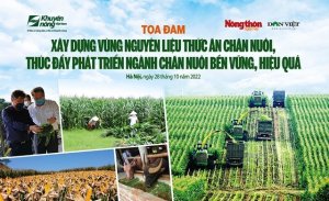 Giảm t&igrave;nh trạng "ăn đong", tăng hiệu quả chăn nu&ocirc;i 