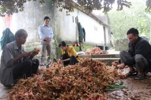 Tiếp th&ecirc;m &ldquo;sức mạnh&rdquo; cho hợp t&aacute;c x&atilde; n&ocirc;ng nghiệp