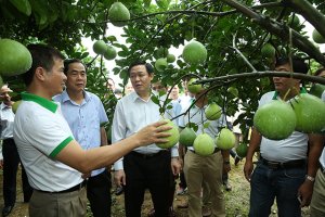 Kinh tế HTX: Đ&acirc;u l&agrave; giải ph&aacute;p n&acirc;ng tầm?