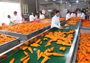 "Bệ ph&oacute;ng" n&agrave;o để ng&agrave;nh n&ocirc;ng nghiệp bứt ph&aacute; trong năm 2020?