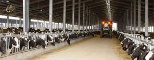 N&ocirc;ng nghiệp 4.0 v&agrave; giải ph&aacute;p để kh&ocirc;ng tụt hậu