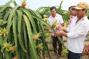 T&aacute;i cơ cấu n&ocirc;ng nghiệp: Những bước chuyển