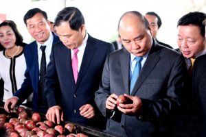 C&ocirc;ng nghiệp chế biến: Ch&igrave;a kh&oacute;a mở cửa thị trường xuất khẩu n&ocirc;ng sản