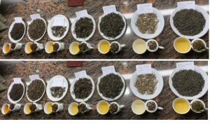 X&acirc;y dựng cơ sở dữ liệu đ&aacute;nh gi&aacute; v&agrave; x&aacute;c định nguồn gốc tr&agrave; Việt Nam