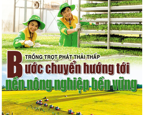 Trồng trọt phát thải thấp: Bước chuyển hướng tới nền nông nghiệp bền vững