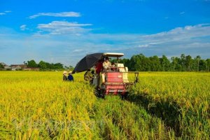 N&ocirc;ng nghiệp năm 2023: Thủy sản nu&ocirc;i trồng tăng kh&aacute;, sản lượng l&uacute;a lập kỷ lục 43,5 triệu tấn