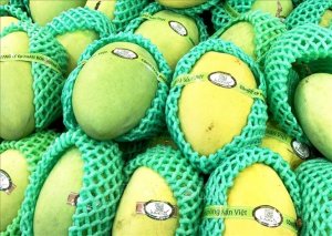 10 ti&ecirc;u ch&iacute; thực hiện truy xuất nguồn gốc sản phẩm, h&agrave;ng h&oacute;a
