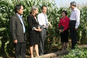 Điều đ&aacute;ng lo hơn cả việc chậm c&ocirc;ng nhận giống mới&hellip; 