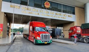 Gi&aacute; trị xuất khẩu rau quả cả năm 2020 đạt 3,26 tỷ USD, giảm 13%