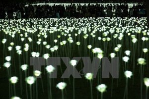 Đ&egrave;n LED ch&iacute;nh l&agrave; thủ phạm g&acirc;y &ocirc; nhiễm &aacute;nh s&aacute;ng tr&ecirc;n to&agrave;n cầu