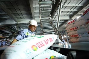 Nhu cầu nội địa v&agrave; gi&aacute; b&aacute;n - động lực hỗ trợ doanh nghiệp ph&acirc;n b&oacute;n