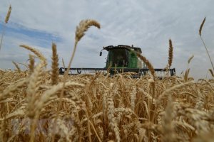 FAO: Gi&aacute; lương thực tr&ecirc;n to&agrave;n cầu ổn định trong th&aacute;ng Một