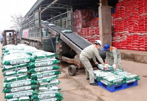 Giải ph&aacute;p n&agrave;o ổn định thị trường khi gi&aacute; ph&acirc;n b&oacute;n dự kiến vẫn tăng?